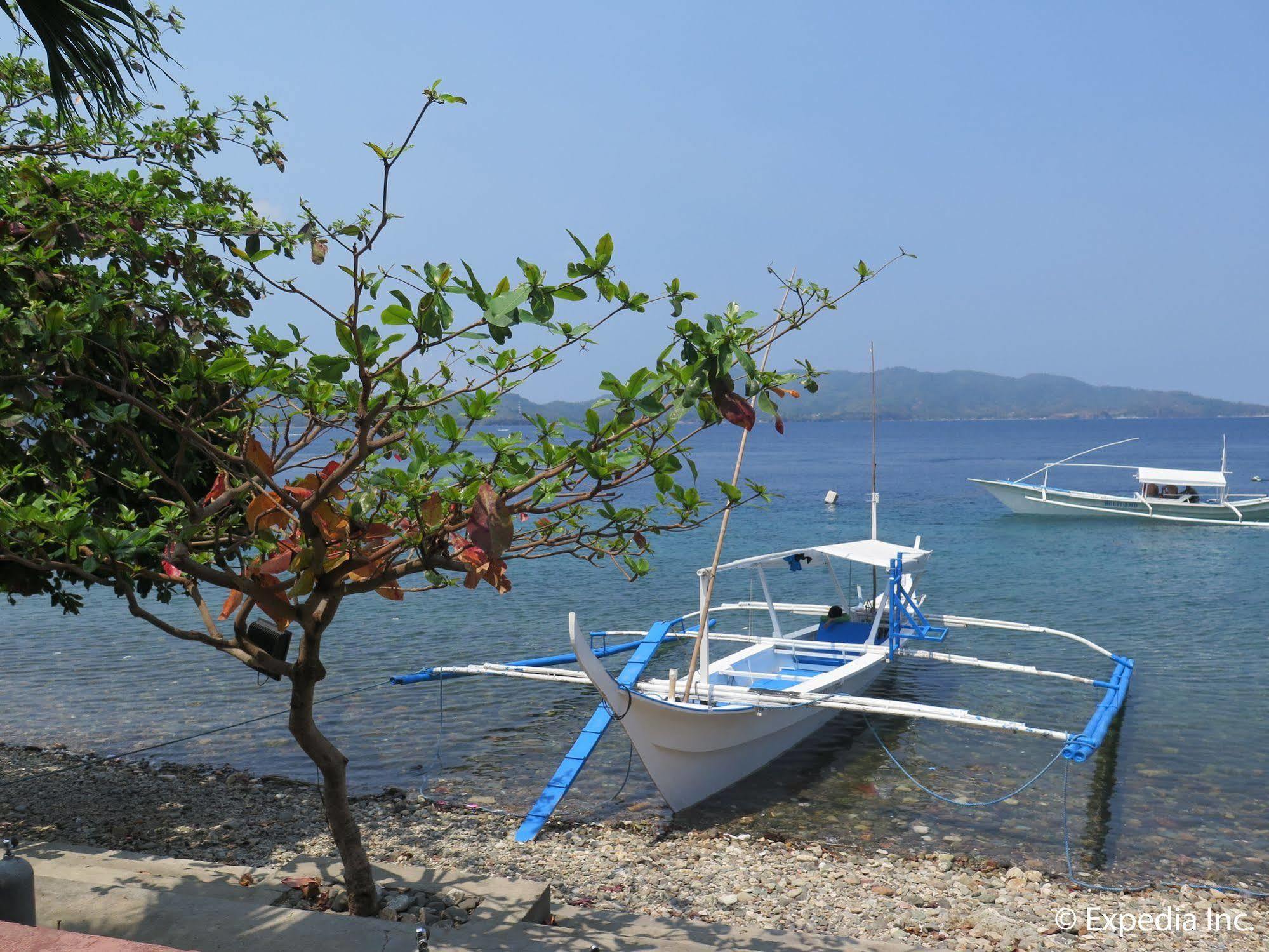 Hotel Planet Dive Mabini  Exteriér fotografie